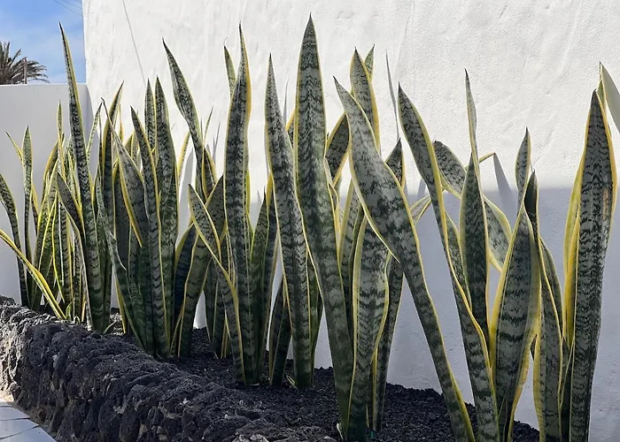 Apartmán La Bodega De Florencio Mozaga